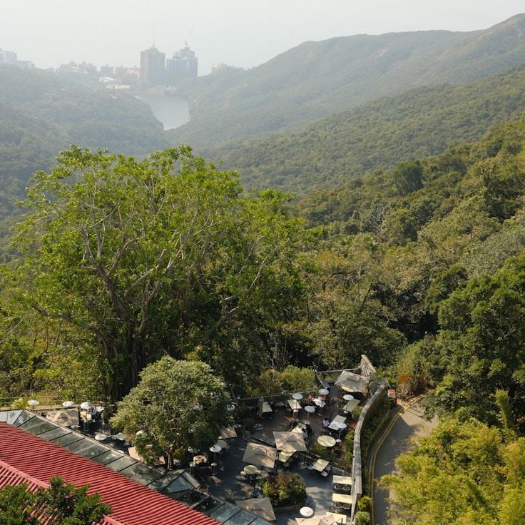 Family terraces and cafés for calm evenings in Toronto